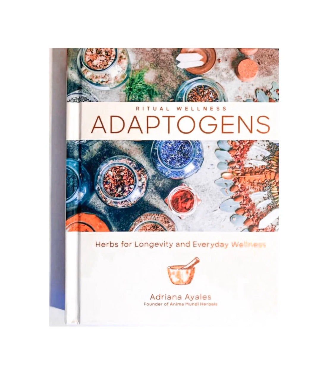 Herbs for Longevity + Everyday Wellness